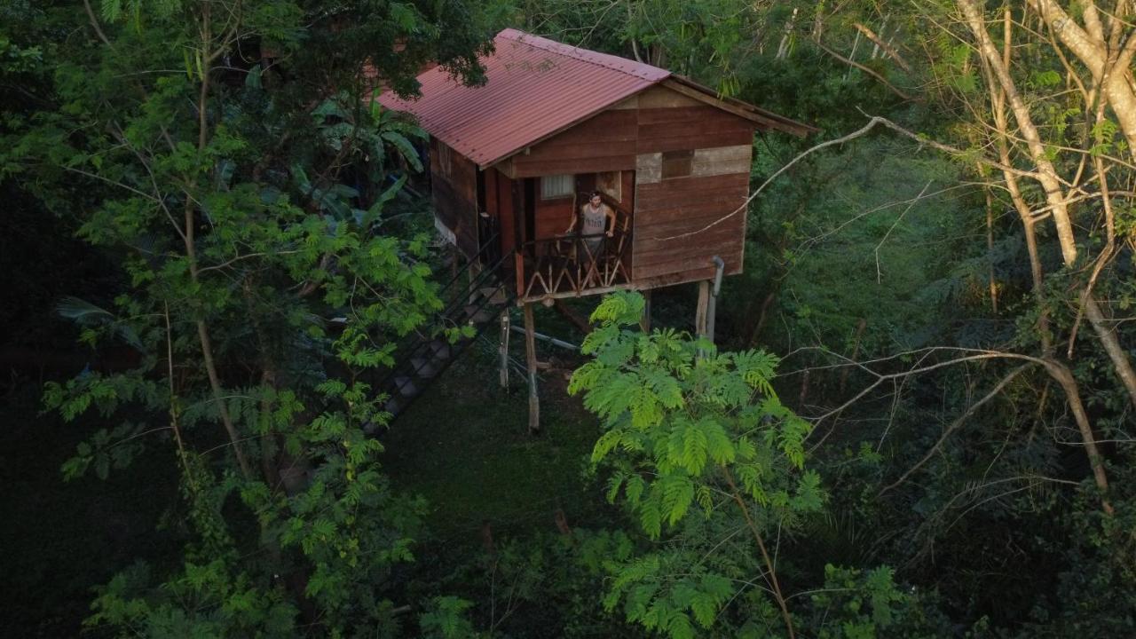 Tree House Hostel Sigiriya Exteriér fotografie