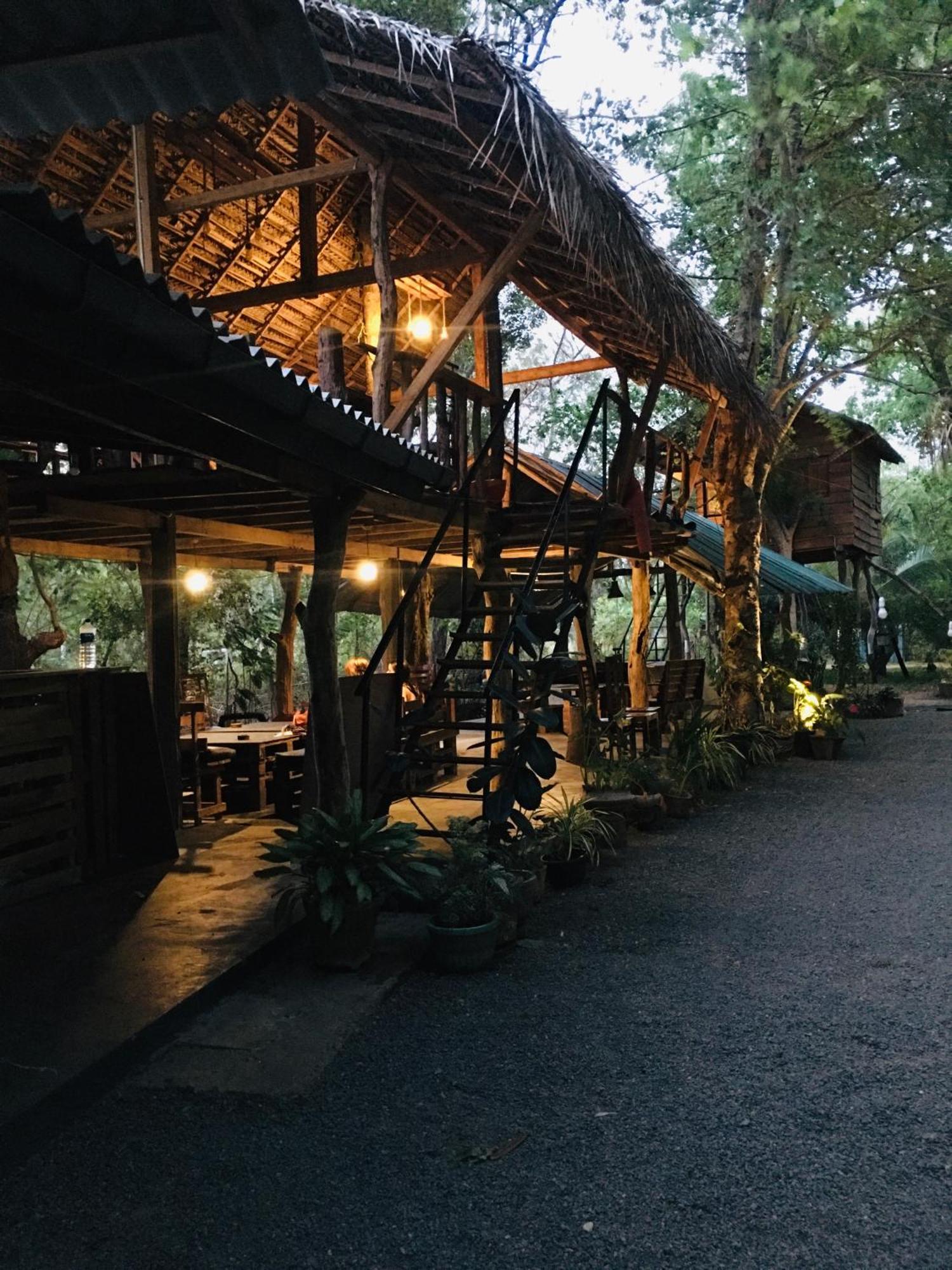 Tree House Hostel Sigiriya Exteriér fotografie