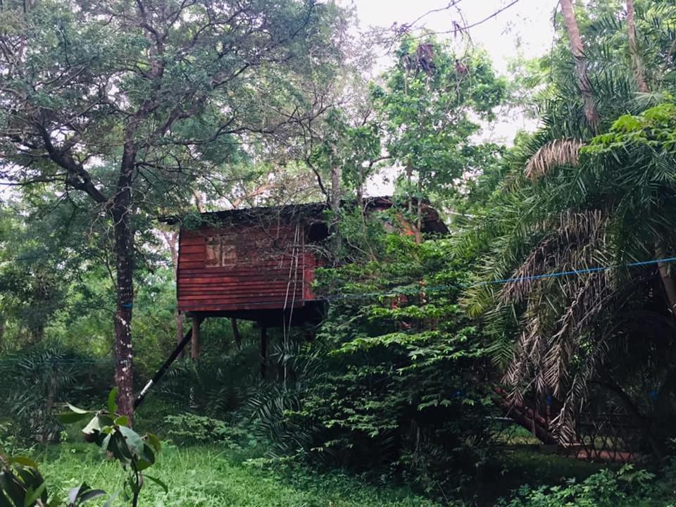 Tree House Hostel Sigiriya Exteriér fotografie