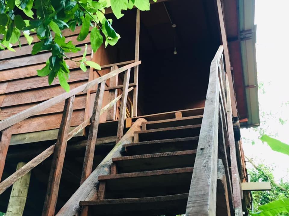 Tree House Hostel Sigiriya Exteriér fotografie