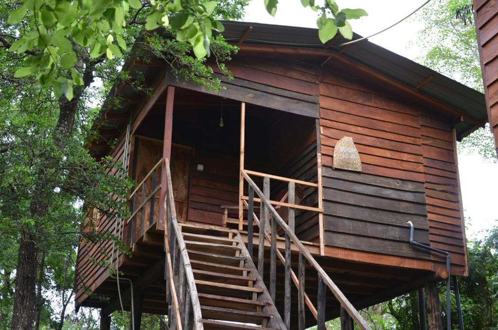 Tree House Hostel Sigiriya Exteriér fotografie